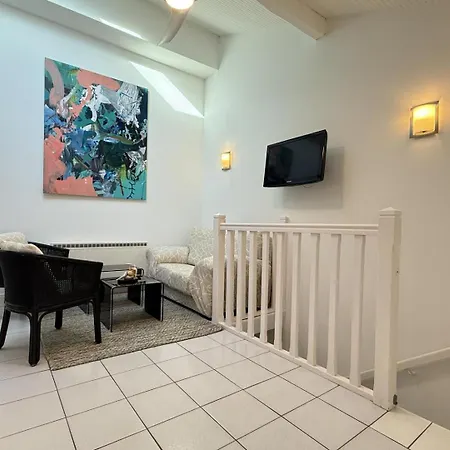 Bigarena N° 26 * アンダイエ